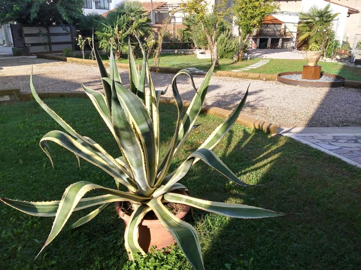 Vila Ca Romi Volta Mantovana Exteriér fotografie
